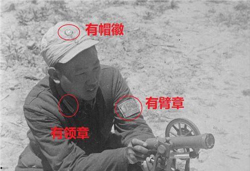 洪大炮爆料真实人气视频,真实人气视频背后的惊人真相 第1张 洪大炮爆料真实人气视频,真实人气视频背后的惊人真相 第1张