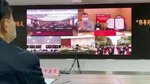 登封市最新爆料新闻直播,揭秘重大新闻事件背后的真相  第3张