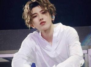 娱乐圈吃瓜白鹿蔡徐坤,白鹿与蔡徐坤的瓜田奇遇  第1张