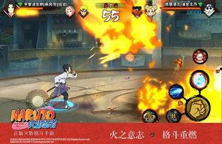 新忍者洛视频爆料,独家爆料带你领略忍者世界新篇章  第2张